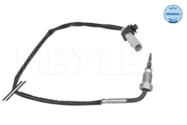 Sensor Abgastemperatur