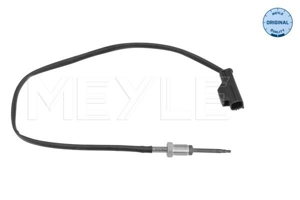 Sensor Abgastemperatur