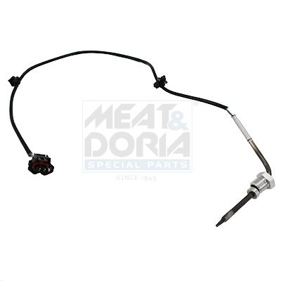 Sensor Abgastemperatur