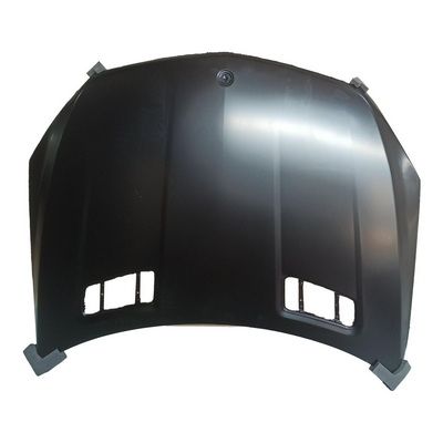 Motorhaube
