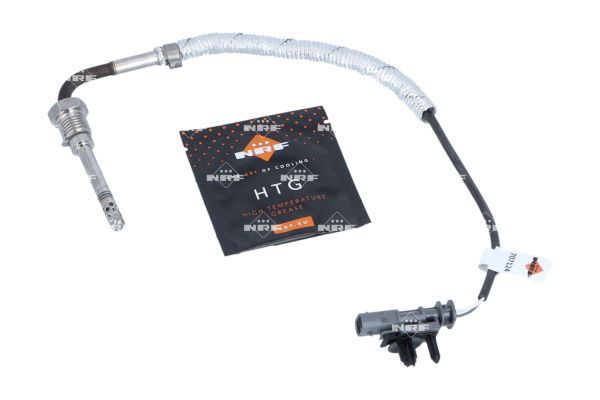 Sensor Abgastemperatur