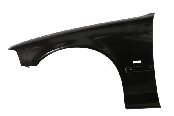 Set: 2 × Kotflügel vorne