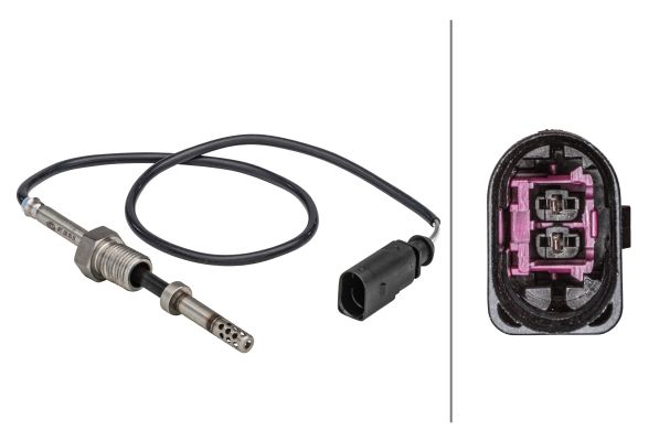 Sensor Abgastemperatur