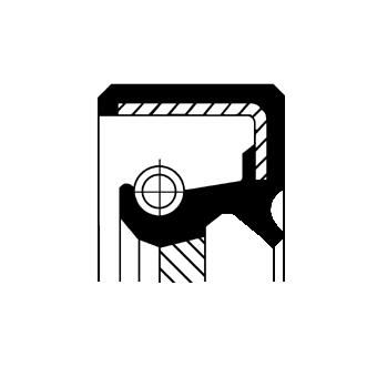Wellen Dichtring Differential