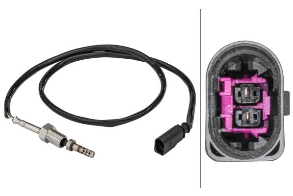Sensor Abgastemperatur