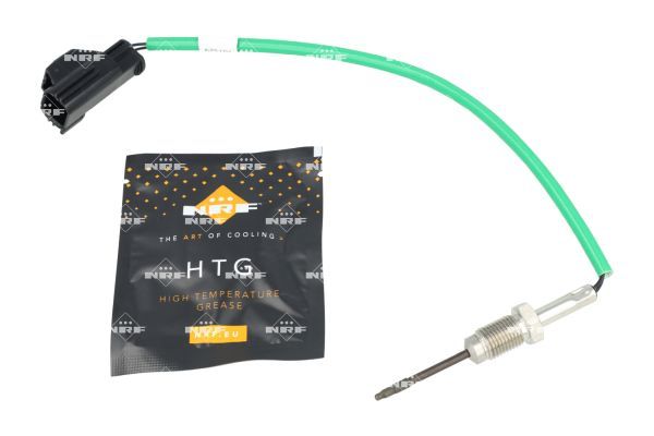 Sensor Abgastemperatur