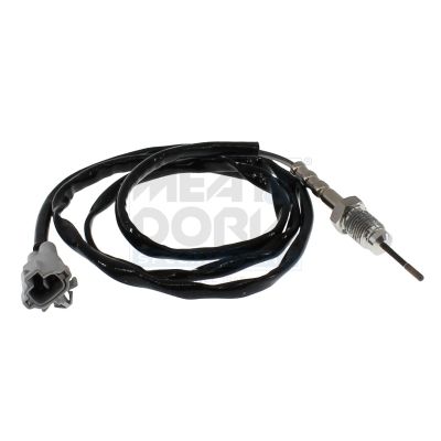 Sensor Abgastemperatur