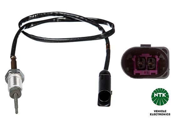 Sensor Abgastemperatur
