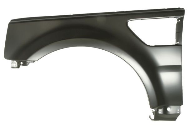 Set: 2 × Kotflügel vorne