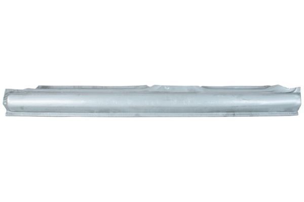 Einstiegsblech Schweller