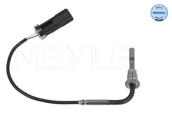Sensor Abgastemperatur