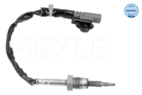 Sensor Abgastemperatur