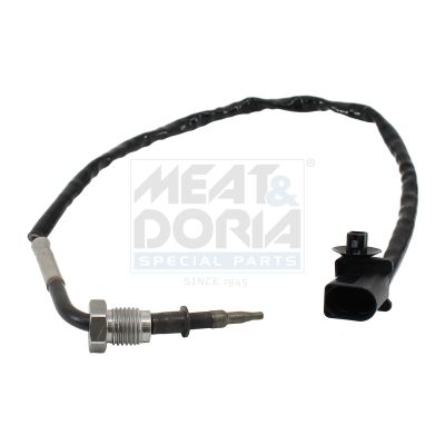 Sensor Abgastemperatur