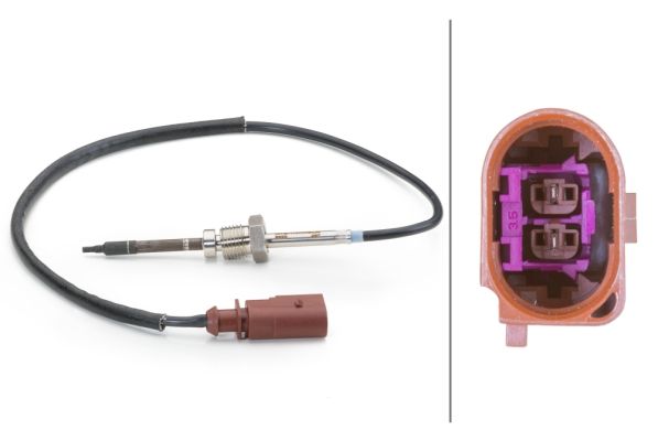 Sensor Abgastemperatur