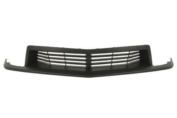Stoßstange Gitter