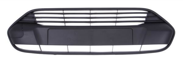 Stoßstange Gitter