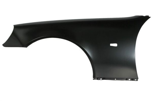 Set: 2 × Kotflügel vorne