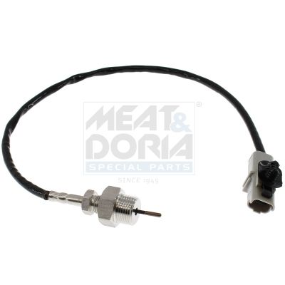 Sensor Abgastemperatur