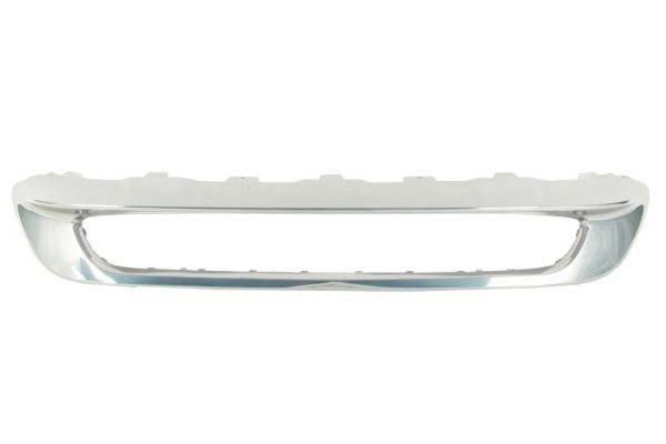 Stoßstange Gitter
