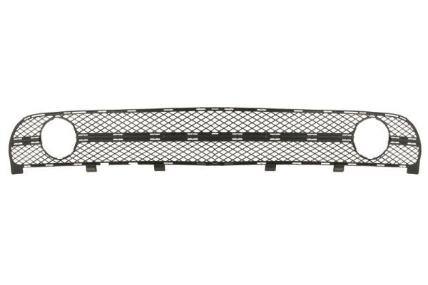 Stoßstange Gitter