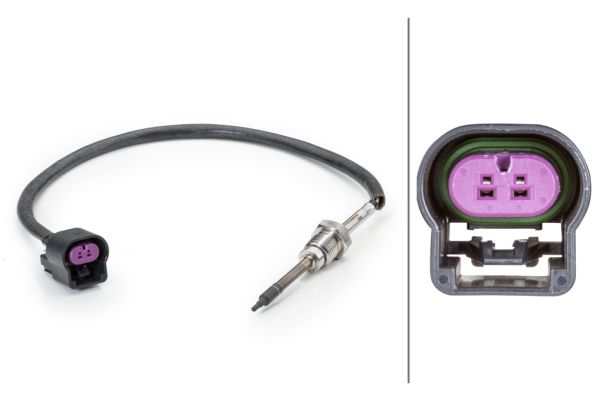 Sensor Abgastemperatur