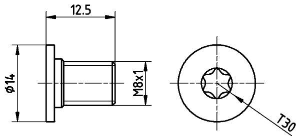 Befestigungsschraube der Bremsscheibe