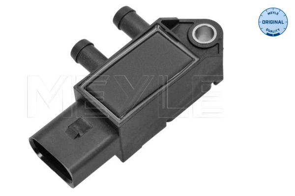 Abgasdrucksensor Differenzdruck