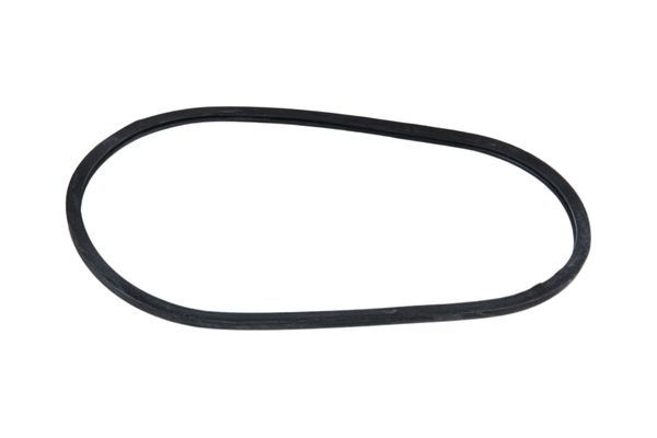 Dichtung Thermostatgehäuse