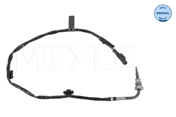 Sensor Abgastemperatur