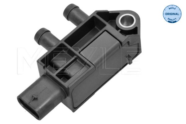 Abgasdrucksensor Differenzdruck
