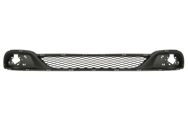 Stoßstange Gitter