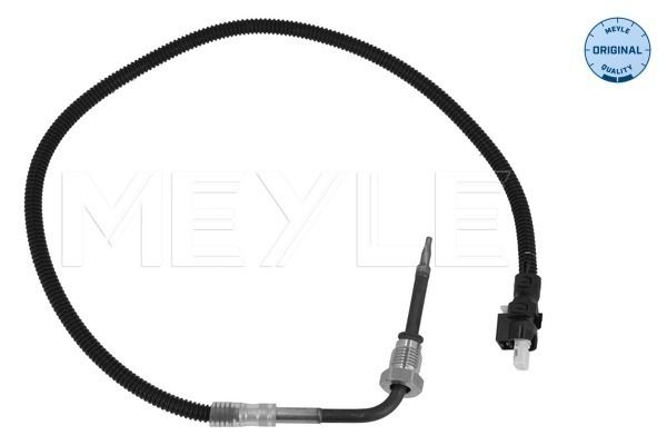 Sensor Abgastemperatur