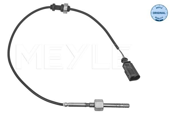 Sensor Abgastemperatur