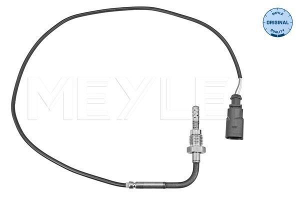 Sensor Abgastemperatur