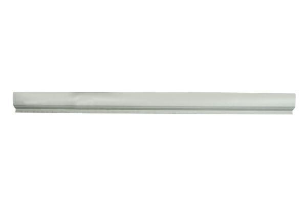 Einstiegsblech Schweller