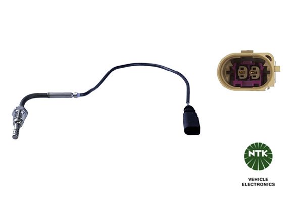 Sensor Abgastemperatur