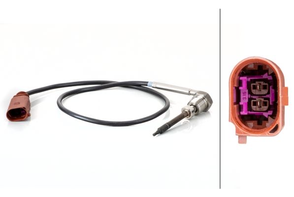Sensor Abgastemperatur