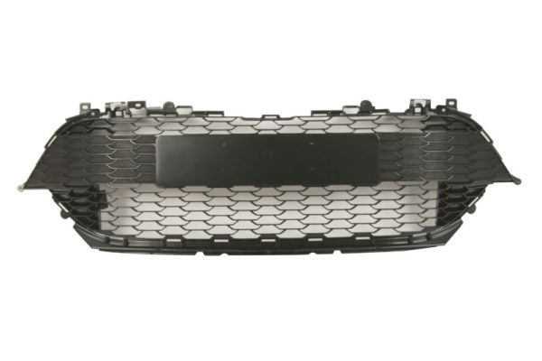 Stoßstange Gitter
