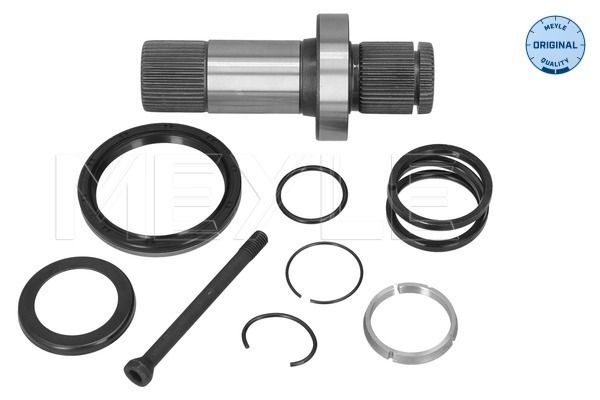 Steckwelle Differential