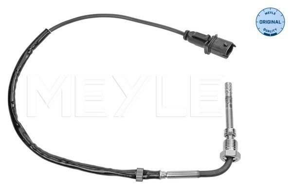 Sensor Abgastemperatur