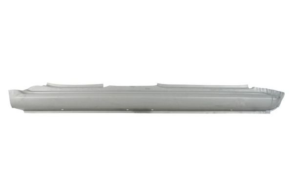 Einstiegsblech Schweller