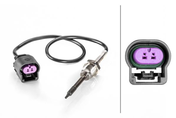 Sensor Abgastemperatur