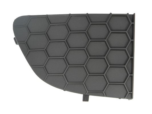 Stoßstange Gitter