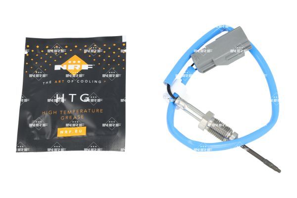 Sensor Abgastemperatur