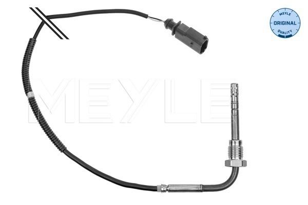 Sensor Abgastemperatur