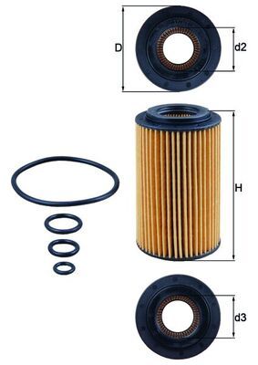 Ölfilter Öl Filter