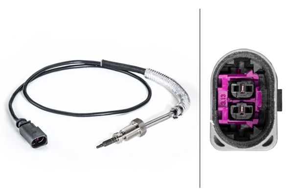 Sensor Abgastemperatur