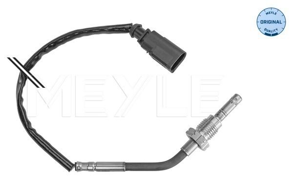Sensor Abgastemperatur