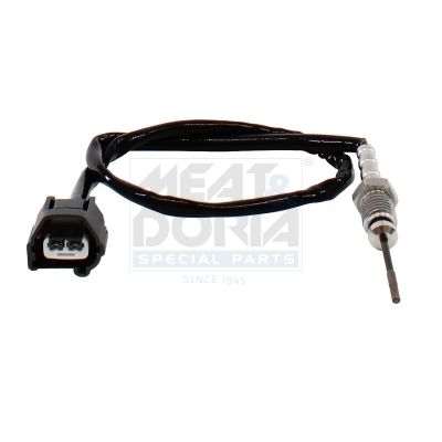 Sensor Abgastemperatur