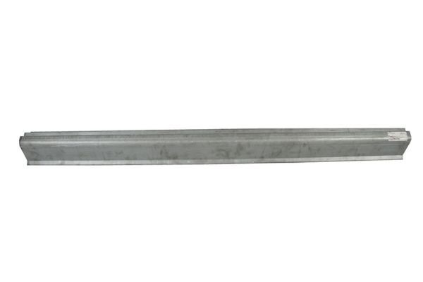 Einstiegsblech Schweller